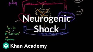 Neurogenic shock  Circulatory System and Disease  NCLEXRN  Khan Academy [upl. by Aikar]