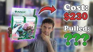 Bloomburrow Value One Month After Release Collector Booster Box Opening [upl. by Gae]