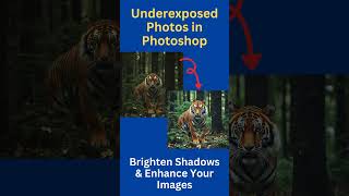 How to Fix Underexposed Photos in Photoshop Brighten Shadows amp Enhance with Curves PhotoEditing [upl. by Alet]