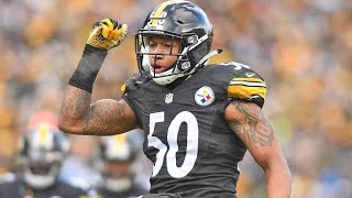 Every Ryan Shazier Sack and Interception  Ryan Shazier Highlights [upl. by Ahtabat]