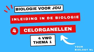 4 vwo  Inleiding in de biologie  4  Celorganellen [upl. by Madanhoj347]