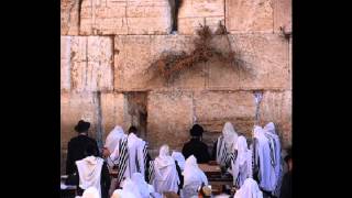 How to Daven Maariv Prayer Nusach Ashkenaz with pauses [upl. by Terchie]