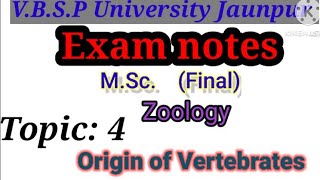 Origin of Vertebrates part 1 zoology MSc final exam notes preparation [upl. by Orsini795]