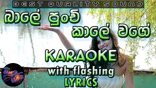 Bale Punchi Kale Wage Karaoke with Lyrics Without Voice [upl. by Aelyak]