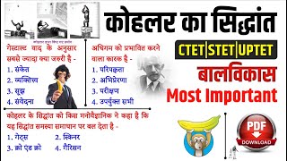 UPTET  STET CTET  Kohlers principle Quiz  कोहलर का सूझ एवम अंतर्दृष्टि का सिद्धान्त  Study91 [upl. by Niwroc]