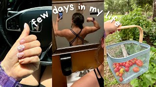 SUCH A RANDOM VLOG  new nails target runs garden is thriving we go 2 gym [upl. by Arvid]