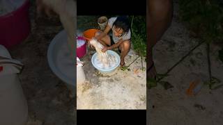 JAMAICA COUNTRY STYLE WASHING caribbean jamaica island goodvibes weekend vacation shorts [upl. by Ladnek]