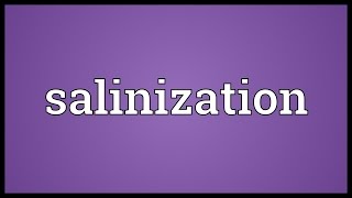 Salinization Meaning [upl. by Willmert]