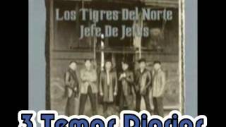 El TarascoLos Tigres del Norte Album Jefe de Jefes CD 2 Año 1997 [upl. by Rovelli]