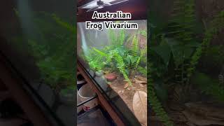 125 Gallon Dumpy Tree Frog Habitat reptile toads wildanimals frog animals wildlife nature [upl. by Llohcin]