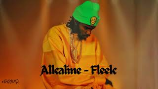 Alkaline  Fleek  DOOVS  Remix 2023 [upl. by Astrid482]