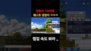 빅뱅전메이플 경험치 1000배 퀘스트 경험치 ㅋㅋㅋㅋㅋ메이플월드 아로나 [upl. by Suilmann372]