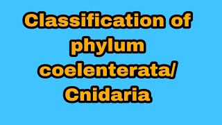 Classification of phylum coelenterataCnidaria BsBsc 1st year [upl. by Maretz258]