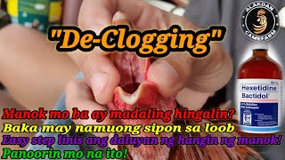 Ep 7 Paano Palabasin ang Sipon ng Manok ll DeClogging ll Proven amp Tested ll Alakdan Gameyard [upl. by Akina]