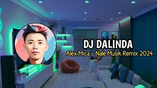 DJ Dalinda Alex Mica  Nale Musik Remix [upl. by Rodolphe]