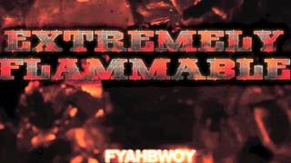 Fyahbwoy  Reggae Vybz  Extremely Flammable  2012 [upl. by Ahsikel]