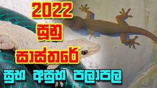 2022 Hunan agata vatim Palapala  2022 හූනන් ඇගට වැටීමේ පලාඵල  Sunan Agata Watime Palapala 2022 [upl. by Candless]