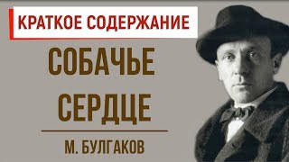 Собачье сердце Краткое содержание [upl. by Derraj]