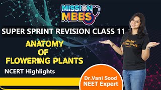 Anatomy of Flowering Plants in One Shot  NEET 202324  Class 11 Biology  Super Sprint  Vedantu [upl. by Frerichs674]