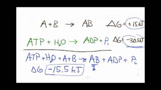 Lets Think about reaction coupling [upl. by Irec]