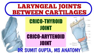 LARYNGEAL JOINTS  Cricothyroid Joint  Cricoarytenoid Joint [upl. by Samalla]