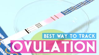 Determine your most fertile days using ovulation tests [upl. by Phelps965]