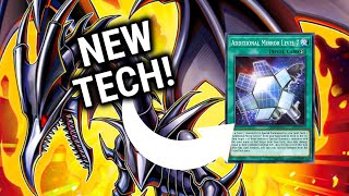 REDEYES DECK RECIPE  2 Card Combo November 2023  YuGiOh TCG [upl. by Pinzler911]