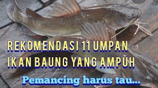 11 umpan ikan baung yang sangat ampuh [upl. by Simah]