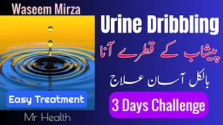 What Is Dribbling Urine Treatment In Males  Females  Hindi Urdu [upl. by Ahso]