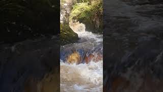 Ingleton waterfall walk [upl. by Stroup]