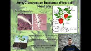 chapter 2 activity 2 Absorption and translocation of water and mineral salts part 1 Grade 7 [upl. by Tonye864]