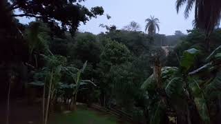 Chuva Chegando Agora Em Samambaia Juatuba  MG  BRASIL 07DE NOVEMBRO2024 [upl. by Plante30]