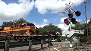 Railroad Crossing  FM 1626 Manchaca TX [upl. by Nikolos599]