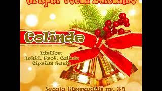 Galbenă gutuie  Grupul vocal Belcanto [upl. by Acinad]