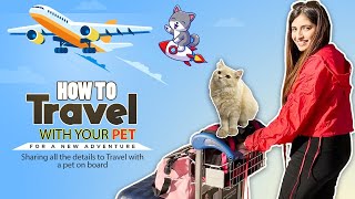 Flying with Pet A Complete Guide on How to Travel with Your Pet by Plane [upl. by Klemens]