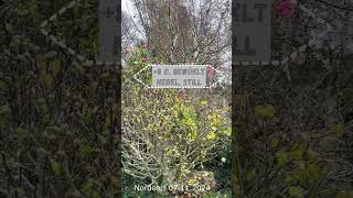 Wetter in Norden 07 11 2024 naturevideo nordseegefuehl wetter [upl. by Dupaix]