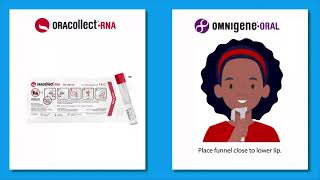 Backtoschool COVID19 testing using saliva samples [upl. by Ainoet725]