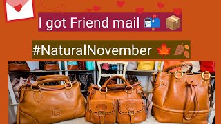 NaturalNovember  Unboxing Friend Mail  New 2025 Agenda from Amazon SimplyDee9301 part 1 [upl. by Enad]