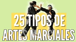 Los 25 Tipos de ARTES MARCIALES [upl. by Alegna]