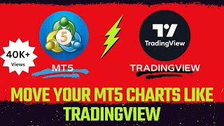 How To Move Your MT5 Charts Like Tradingview  Scale Fix MT5 Chart like Tradingview [upl. by Onifled]