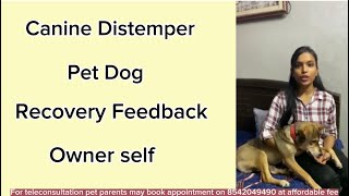 Canine Distemper Recovered Dog Owner Review [upl. by Nomaid]