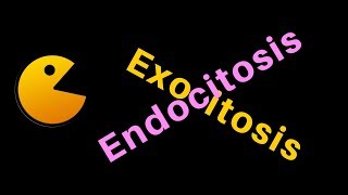 ENDOCITOSIS Y EXOCITOSIS [upl. by Ruthe]