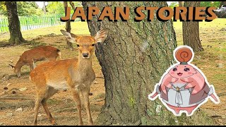 BONUS ce que nous avons ramené de NARA au JAPON  JAPAN STORIES 1 [upl. by Adnohsal]