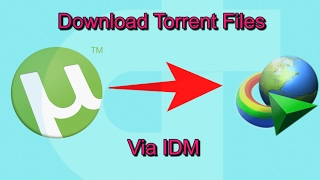 Download Torrent File via IDM No Size Limit 2017 [upl. by Adiuqal657]