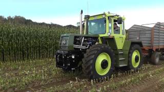 MB Trac Feldtag Nordhorn 2012  Maishäckseln  Maïshakselen  Corn chopping [upl. by Zonda]