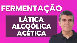 FERMENTAÇÃO LÁTICA ALCOÓLICA E ACÉTICA [upl. by Latashia]