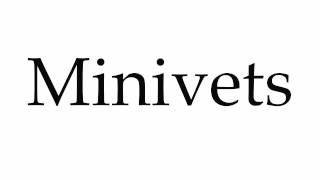 How to Pronounce Minivets [upl. by Acisset]