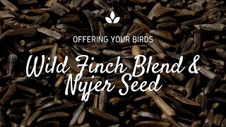 How to Attract Finches with Nyjer Seed [upl. by Llenroc]