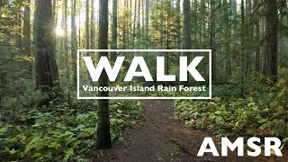 AMSR Rain Forest  Vancouver Island BC Canada [upl. by Haon]