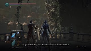 Amnesiac Lapp Unbreakable A Dark Souls 3 NPC Quest Story [upl. by Jolie93]